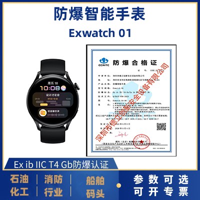 防爆（bào）智能手表Exwatch 01